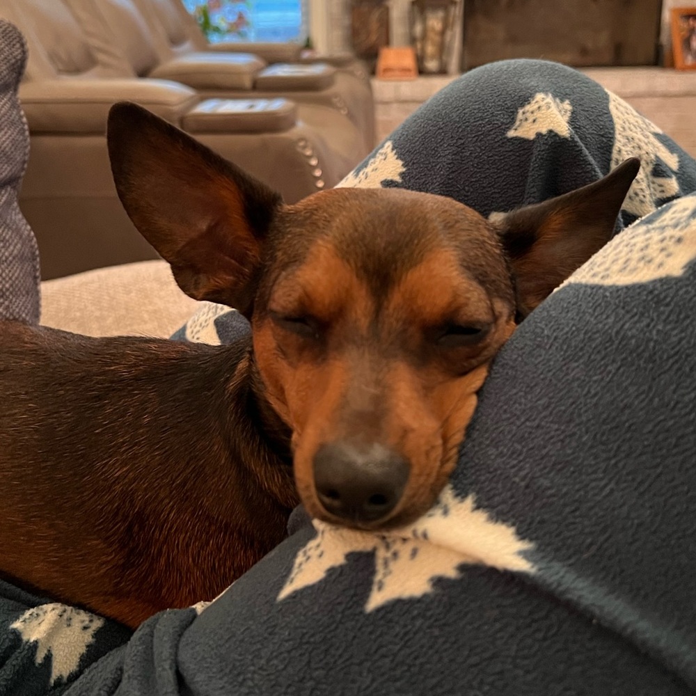 Meet your Posher, Jana